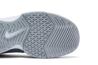 Nike LeBron Witness 8 TB 'Wolf Grey'