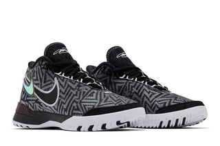 Nike Zoom LeBron NXXT Genisus EP 'Black'