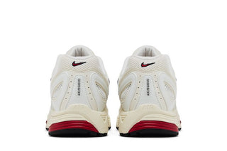 Nike Air Pegasus 2K5 'White Phantom Gym Red'