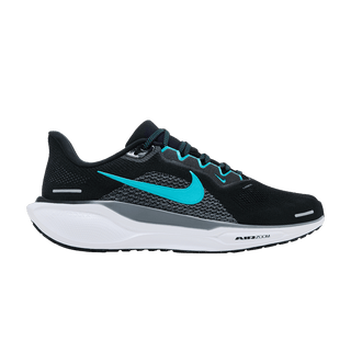 Nike Air Zoom Pegasus 41 'Black Dusty Cactus'