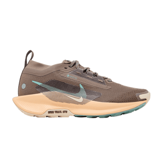 Nike Pegasus Trail 5 GORE-TEX 'Mink Brown Orange Chalk'
