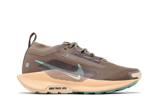 Nike Pegasus Trail 5 GORE-TEX 'Mink Brown Orange Chalk'