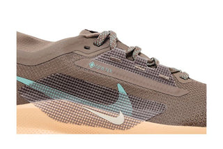 Nike Pegasus Trail 5 GORE-TEX 'Mink Brown Orange Chalk'