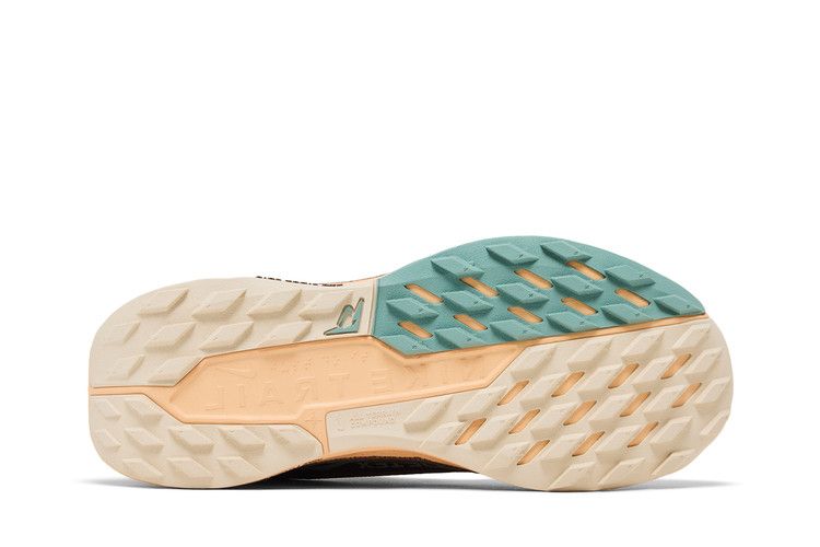 Nike Pegasus Trail 5 GORE-TEX 'Mink Brown Orange Chalk'