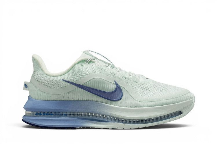 Nike Pegasus Premium 'Barely Green Work Blue'