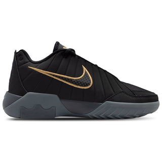 Nike Lebron Witness IX