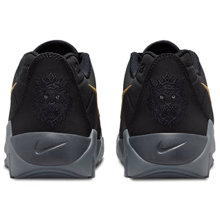 Nike Lebron Witness IX