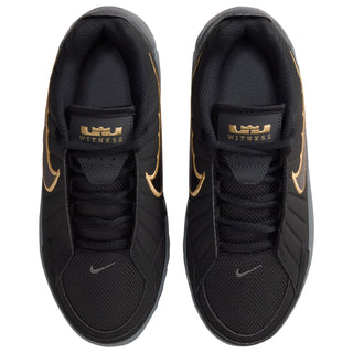 Nike Lebron Witness IX