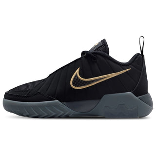 Nike Lebron Witness IX
