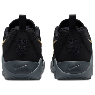 Nike Lebron Witness IX
