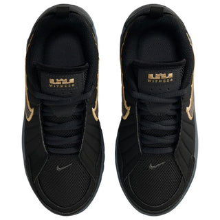 Nike Lebron Witness IX