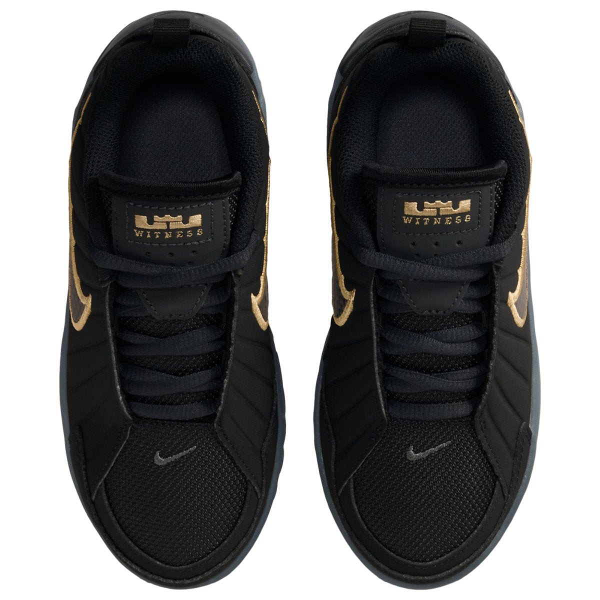 Nike Lebron Witness IX