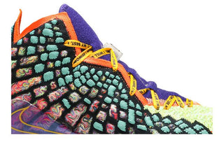 Nike LeBron 17 'What The'