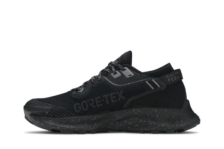 Nike Pegasus Trail 2 GTX 'Black Metallic Dark Grey'