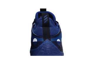 adidas Harden Vol. 5 Futurenatural 'Polka Dot - Royal Blue'
