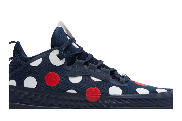 adidas Harden Vol. 5 Futurenatural 'Polka Dot - Team Navy'