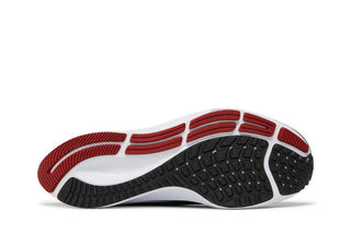 Nike Air Zoom Pegasus 38 'Ohio State'