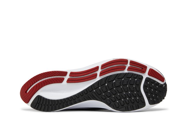 Nike Air Zoom Pegasus 38 'Ohio State'