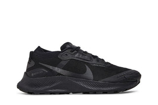 Nike Pegasus Trail 3 GTX 'Triple Black'