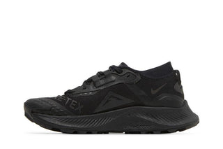 Nike Pegasus Trail 3 GTX 'Triple Black'