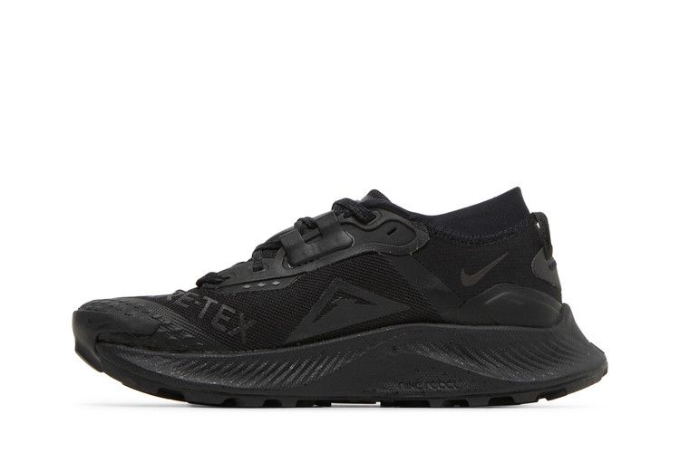 Nike Pegasus Trail 3 GTX 'Triple Black'