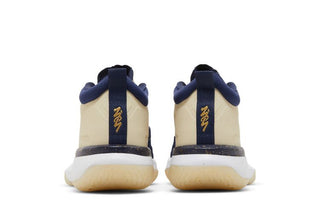 Air Jordan Zion 1 'Pelicans'
