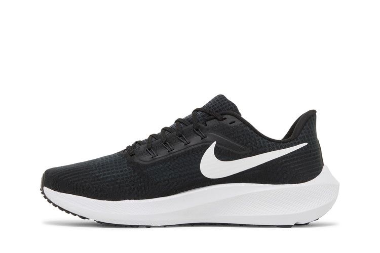 Nike Air Zoom Pegasus 39 'Black Dark Smoke Grey'