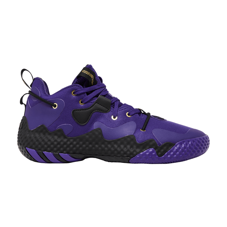 adidas Harden Vol. 6 'Team College Purple'