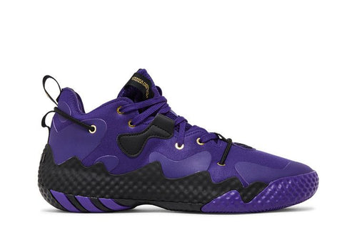 adidas Harden Vol. 6 'Team College Purple'
