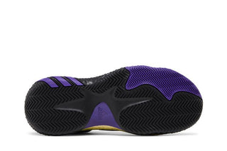 adidas Harden Vol. 6 'Team College Purple'