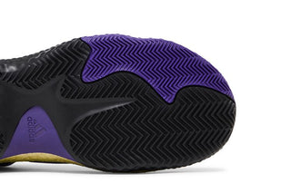 adidas Harden Vol. 6 'Team College Purple'