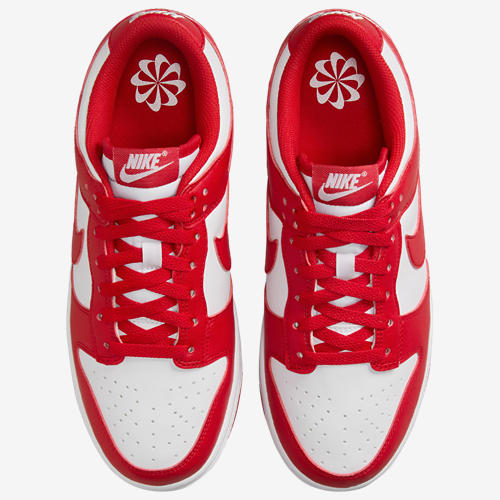 Nike Dunk Low Next Nature