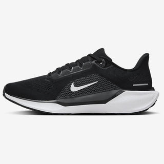 Nike Air Zoom Pegasus 41