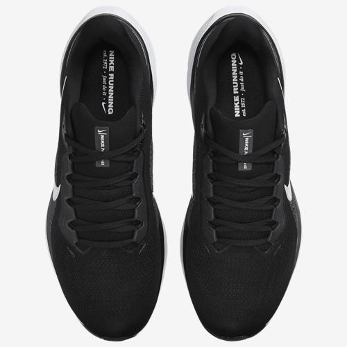 Nike Air Zoom Pegasus 41