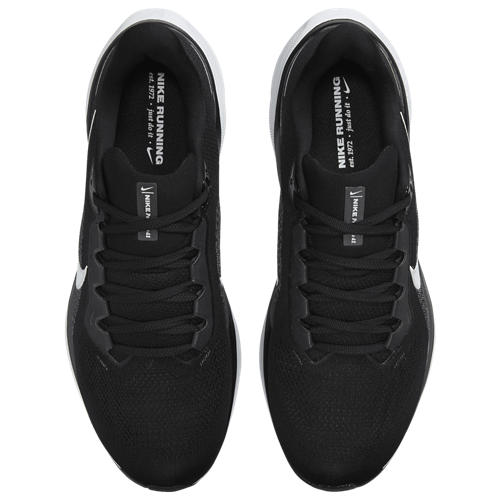 Nike Air Zoom Pegasus 41