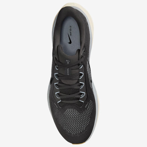 Nike Air Zoom Pegasus 41