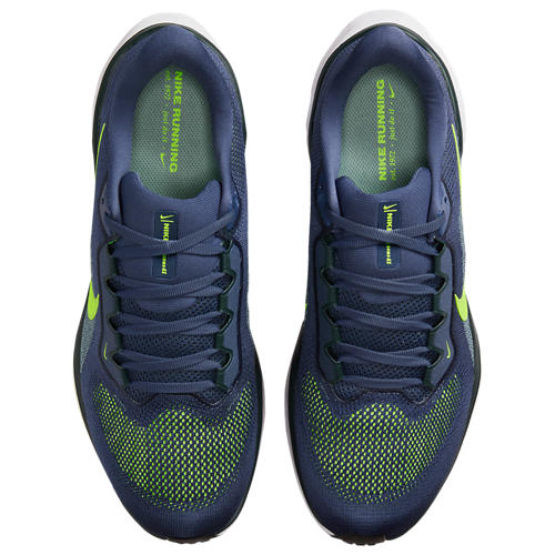 Nike Air Zoom Pegasus 41
