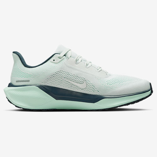 Nike Air Zoom Pegasus 41