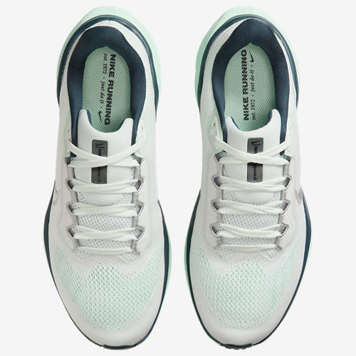 Nike Air Zoom Pegasus 41