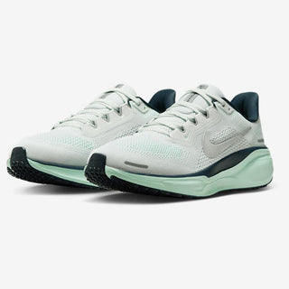 Nike Air Zoom Pegasus 41