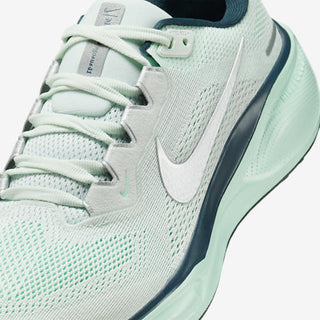 Nike Air Zoom Pegasus 41
