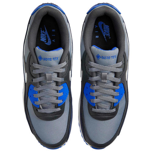 Nike Air Max 90 GTX