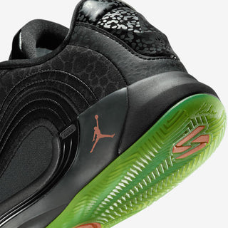 Jordan Luka 4