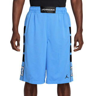 Jordan Mesh Brooklyn Cat Scratch Short