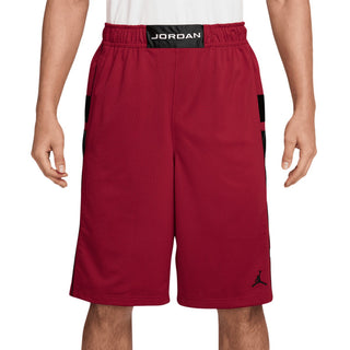 Jordan Mesh Brooklyn Cat Scratch Short