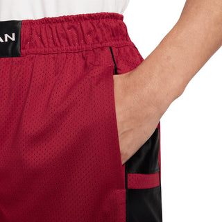 Jordan Mesh Brooklyn Cat Scratch Short