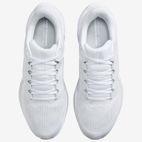 Nike Air Zoom Pegasus 41