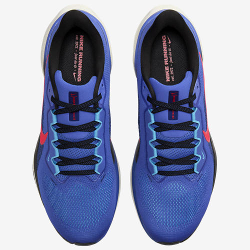 Nike Air Zoom Pegasus 41