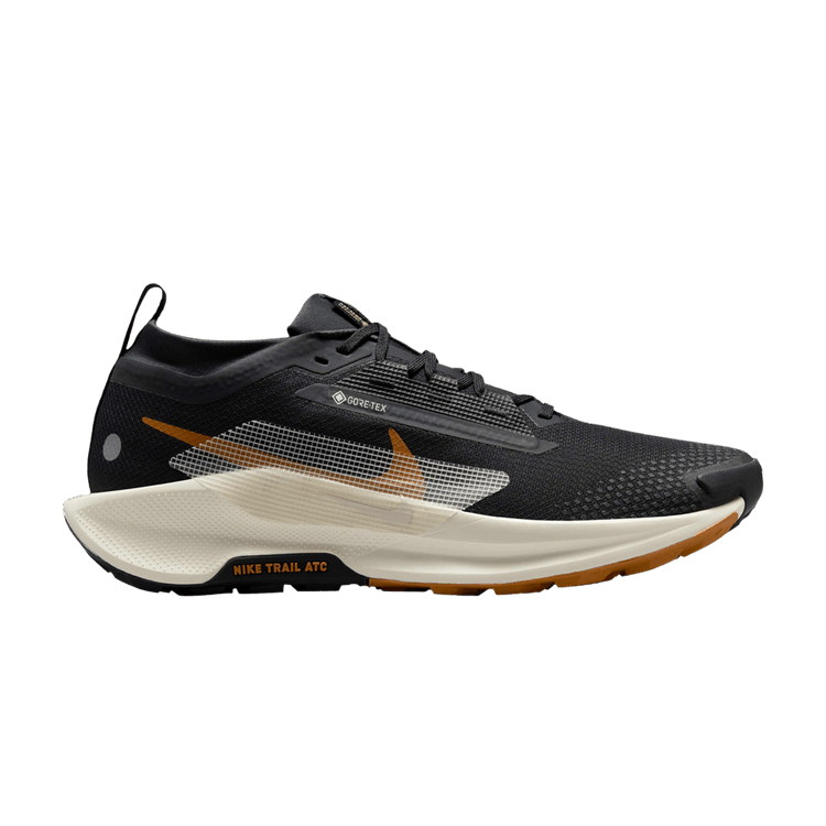 Nike Pegasus Trail 5 GORE-TEX 'Black Monarch'