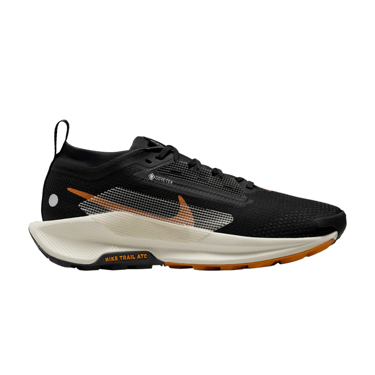 Nike Pegasus Trail 5 GORE-TEX 'Black Monarch'